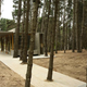 Image for article titled 8 Buildings Designed to Incorporate the Trees Around Them